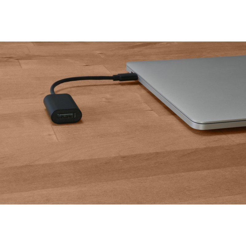 CONVERTIDOR USB TIPO C A Display Port