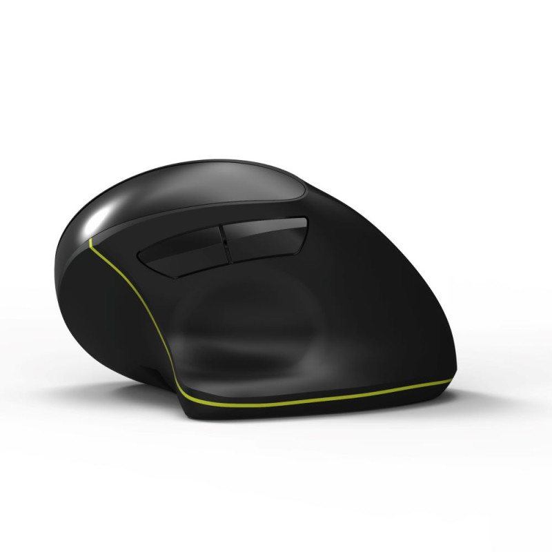 Souris sans fil & Bluetooth Rechargeable ERGO