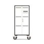 Charging cabinet for 30 laptops 15.6" & 1 in 19"