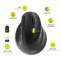 Souris ERGO droitier sans fil 2.4 GHz Bluetooth rechargeable