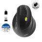 Souris ERGO droitier sans fil 2.4 GHz Bluetooth rechargeable