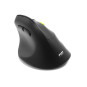 Souris ERGO droitier sans fil 2.4 GHz Bluetooth rechargeable
