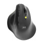 Souris ERGO SOFT sans fil 2.4GHz & Bluetooth rechargeable