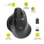 Souris ERGO SOFT sans fil 2.4GHz & Bluetooth rechargeable