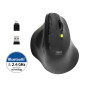 Souris ERGO SOFT sans fil 2.4GHz & Bluetooth rechargeable